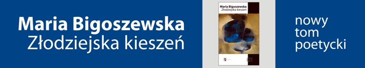 http://www.wforma.eu/zlodziejska-kieszen.html